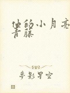 他的小月亮by青藤