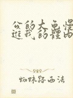 公的大龟慢慢挺进我的体内