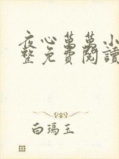 夜心万万小说完整免费阅读全文封面