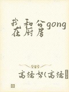 我和公gong在厨房