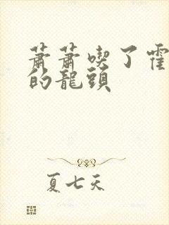 萧萧吃了霍雨浩的龙头封面