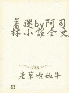 着迷by阿司匹林小说全文免费阅读无广告封面