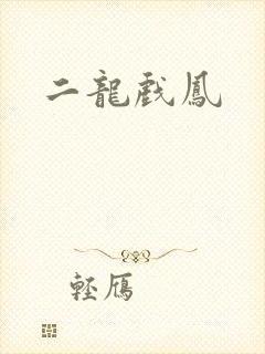 二龙戏凤