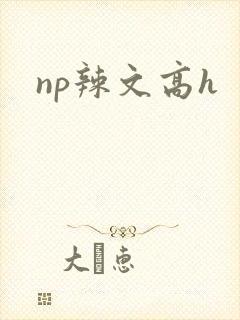 np辣文高h