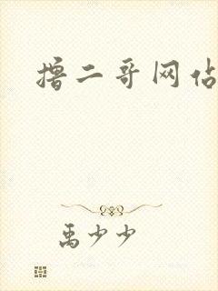 撸二哥网站封面