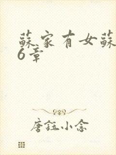 苏家有女苏杳56章封面