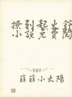 撩到起火舒漾的小说免费阅读全文封面