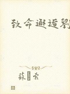 致命邂逅刘小寐封面