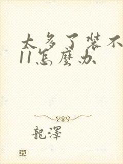 太多了装不下h11怎么办