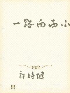 一路向西小说