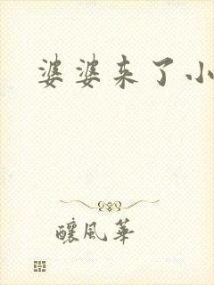 婆婆来了小说封面