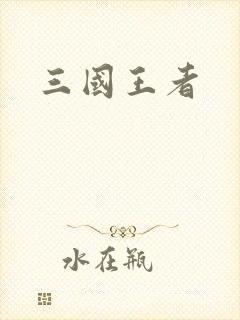 三国王者