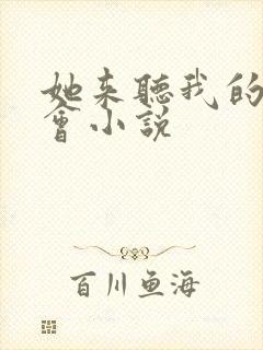 她来听我的演唱会小说