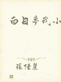 白日梦我小说