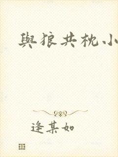 与狼共枕小说封面