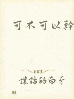 可不可以干湿你