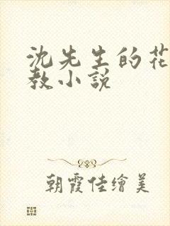 沈先生的花式调教小说