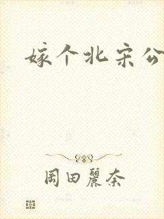 嫁个北宋公务员