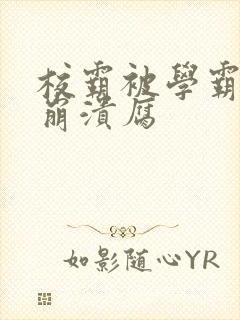 校霸被学霸玩到崩溃腐封面