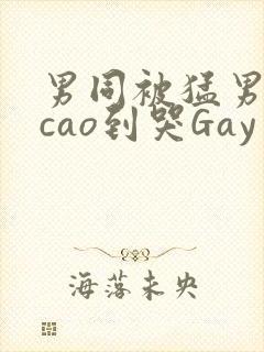 男同被猛男房东cao到哭Gay