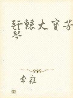 轩辕大宝芳菲雅琴