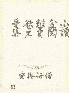 爱欲难分小说全集免费阅读封面