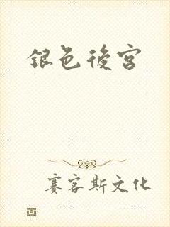 银色后宫