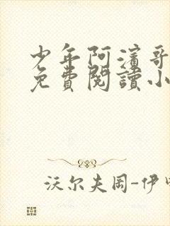 少年阿滨哥全文免费阅读小说