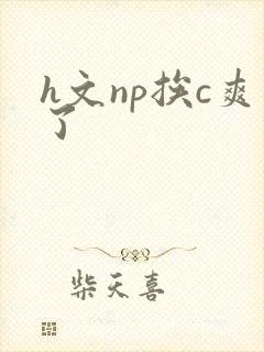 h文np挨c爽了