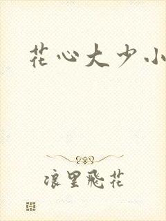 花心大少小说