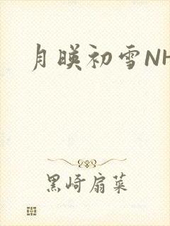 月映初雪NHH