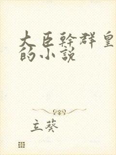 大臣干群皇太后的小说