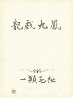 龙戏九凤封面