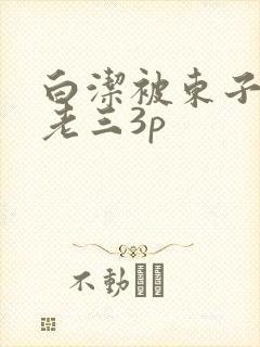 白洁被东子老二老三3p