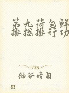 第九荷包鲜辣肉排总排行功能介绍