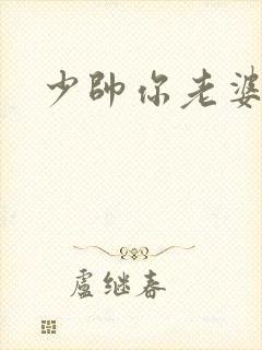 少帅你老婆