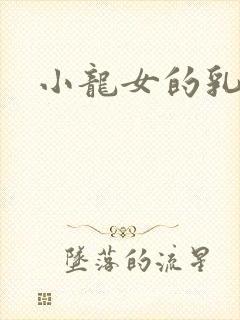 小龙女的乳头