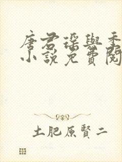 唐君瑶与季翰诚小说免费阅读全文最新章节封面