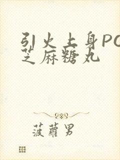 引火上身POP芝麻糖丸