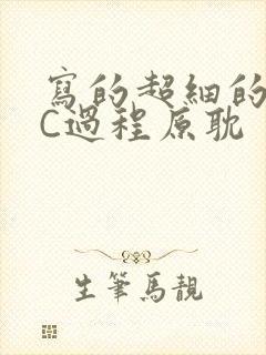 写的超细的多肉C过程原耽