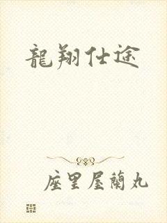 龙翔仕途