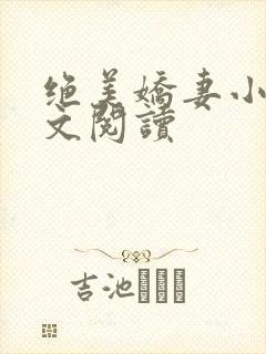 绝美娇妻小说全文阅读
