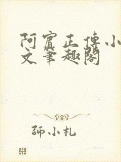 阿宾正传小说全文笔趣阁封面