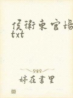 侯卫东官场笔记txt