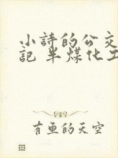 小诗的公交车日记 半煤化工