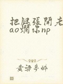 把腿张开老子cao烂你np