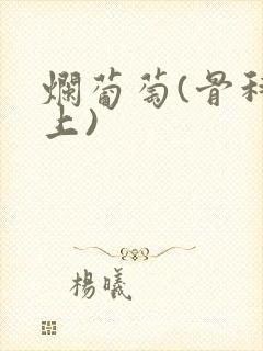 烂葡萄(骨科年上)