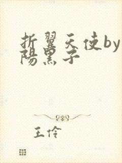 折翼天使by太阳黑子封面