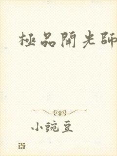 极品开光师封面