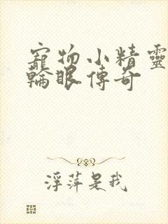 宠物小精灵之写轮眼传奇